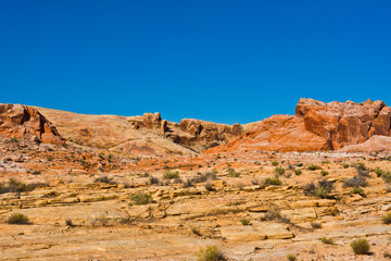 Fototapeta premium USA, Nevada, Valley of Fire State Park. Views along Mouse's Tank Road