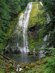 USA, Oregon, Cascade Range. Proxy Falls scenic. 