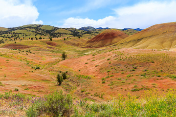 Obraz premium USA, Oregon, Redmond, Bend, Mitchell. Series of low clay hills striped in colorful bands of minerals, ash and clay deposits.