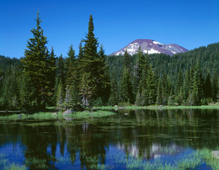 USA, Oregon, Deschutes National Forest, Three Sisters Wilderness, South Sister rises above lush shoreline of Sisters Mirror Lake.
