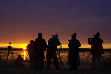 Fototapeta na wymiar USA, New Mexico, Bosque del Apache National Wildlife Refuge. Bird photographers line a marshy shoreline at sunrise. 