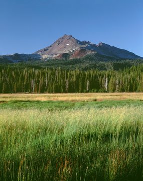 USA, Oregon, Deschutes National Forest. Broken Top rises above coniferous forest and meadow grass in late evening.