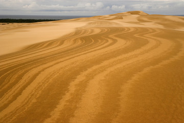 Fototapeta na wymiar USA, Oregon, Siuslaw National Forest, Umpqua Dunes. Wavy patterns in sand dunes. 