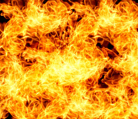 Fire flames collection isolated  black background
