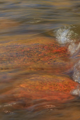 Lower Deschutes River, Central Oregon, USA