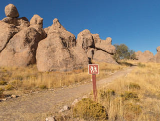 Fototapeta na wymiar City of Rocks State Park, New Mexico, USA