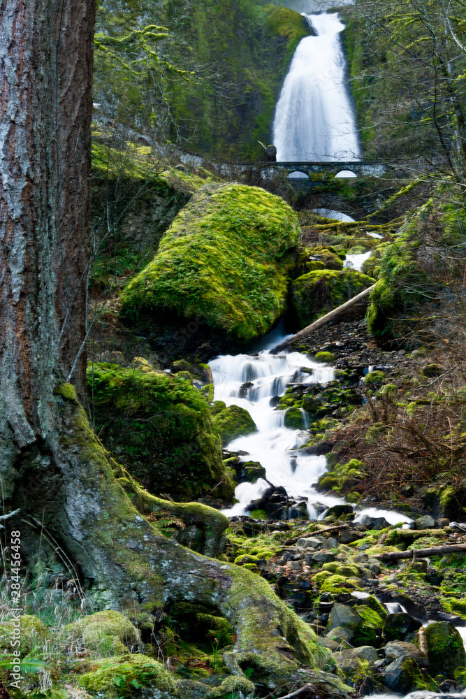 Poster Wahkeena Falls and Creek, Columbia Gorge, Oregon, USA