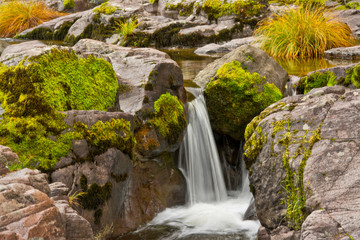 Naklejka na ściany i meble Autumn, Little Falls, Steamboat Creek, Umpqua National Forest, Oregon, USA