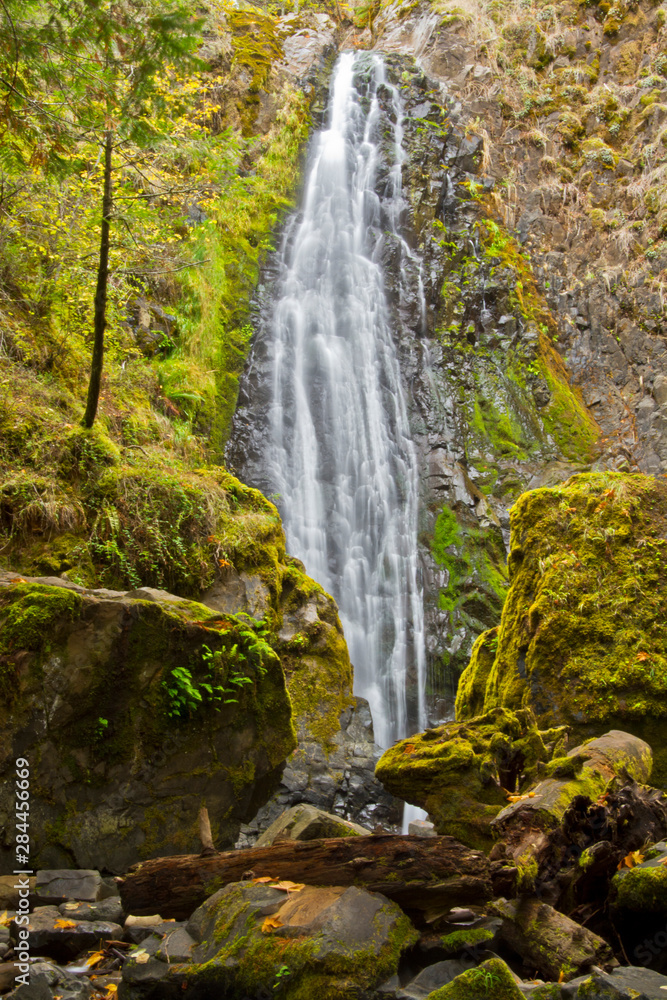 Poster Susan Creek Falls, Umpqua National Forest, Oregon, USA