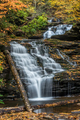 Fototapeta na wymiar USA, Pennsylvania, Ricketts Glen State Park. Mohican Falls with fallen logs and autumn leaves