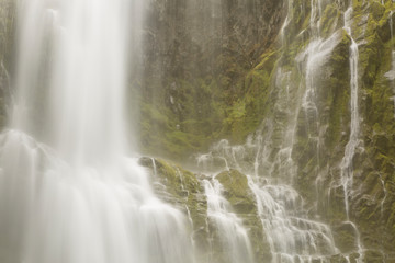 Fototapeta na wymiar USA, Oregon. Proxy Falls landscape. 