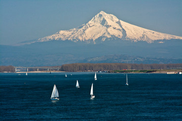 Sailboats, Columbia River, Mount Hood, Portland, Oregon, USA