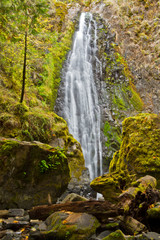 Fototapeta na wymiar Susan Creek Falls, Umpqua National Forest, Oregon, USA