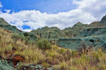 Fototapeta na wymiar Hoodoos, Blue Basin, John Day Fossil Beds National Monument, Oregon, USA.