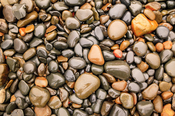 Close-up of beach rocks, Oregon
