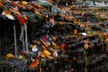 USA, Pennsylvania, Benton. Waterfall in Ricketts Glen State Park. Credit as: Jay O'Brien / Jaynes Gallery / DanitaDelimont.com