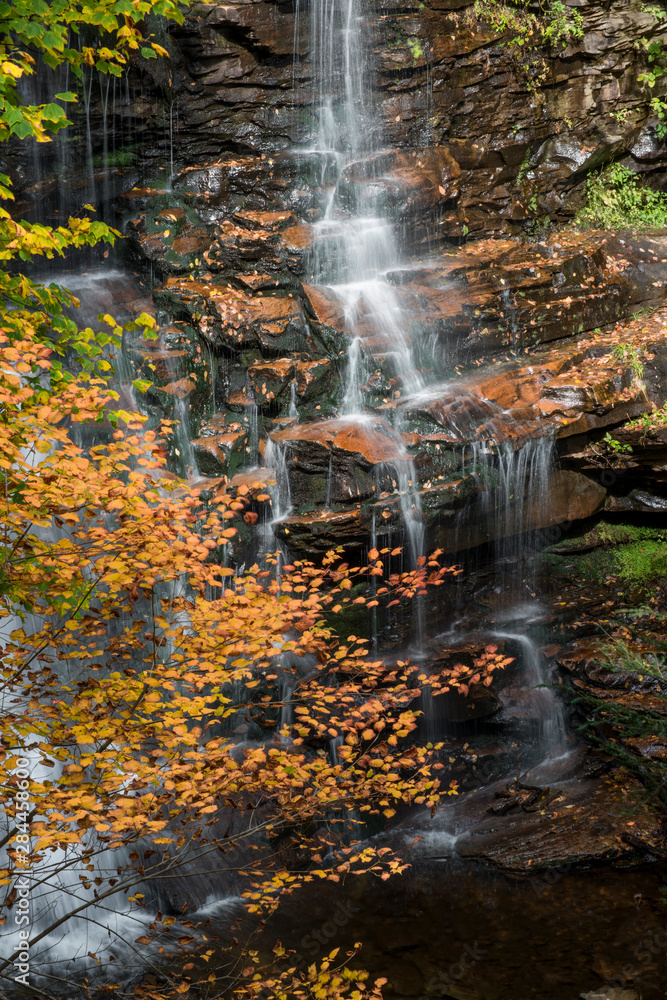 Poster Usa, Pennsylvania, Ricketts Glen State Park. Water cascading down Ganoga Falls, with autumn foliage.