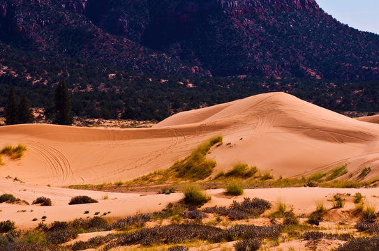 USA, Utah, Kanab, Coral Pink Sand Dunes State Park framed by Moquith Mountains