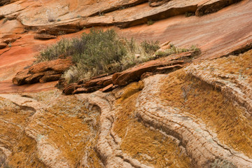 USA, Utah, Zion National Park. Rock formation scenic. Credit as: Marie Bush / Jaynes Gallery / DanitaDelimont.com