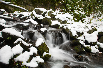 Starvation Creek near Sandy, Columbia River Gorge National Scenic Area, Oregon, USA 