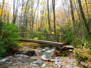 Tennessee, Great Smoky Mountains National Park, Alum Cave Bluffs trail along Alum Cave Creek