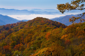 Fototapeta premium Autumn in the Great Smoky Mountain National Park, Tennessee