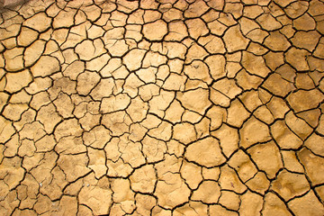 Cracked earth drought