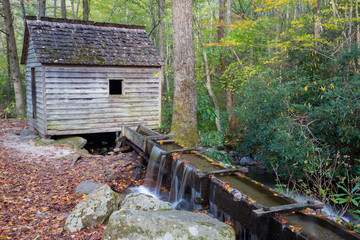 Tennessee, Great Smoky Mountains National Park, Roaring Fork Motor Nature Trail, Alfred Reagan...