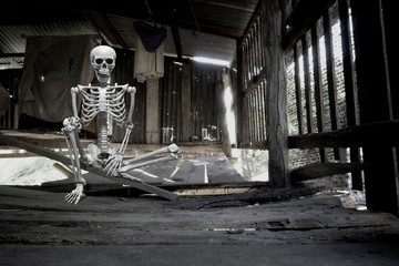 Fake human skeleton sitting in the old abandoned wooden hut, halloween concept.