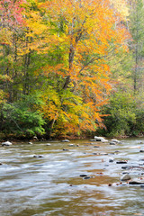 Tennessee, Great Smoky Mountains National Park, Little River