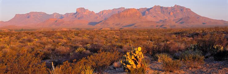 USA, Texas, Big Bend NP. Sunrise brings a rosy hue to the shapes and textures of the Chisos Mountains, in Big Bend National Park, Texas. © Ric Ergenbright/Danita Delimont