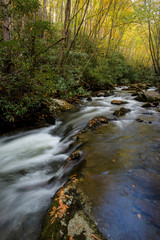 USA, Tennessee, Great Smoky Mountains national Park. Autumn Trees and waterfall on the Little River