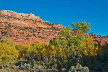 USA, Utah, Grand Staircase Escalante National Monument, Scenic Views along Burr Trail