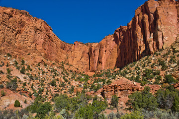 Fototapeta premium USA, Utah, Boulder. Burr Trail Road