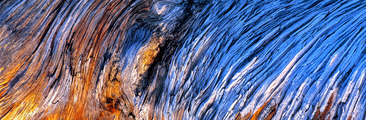 USA, Oregon, Deschutes Co. An old dead juniper trunk takes on color at sunrise at Lava Butte in central Oregon. - obrazy, fototapety, plakaty