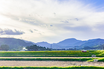 実りの秋　宮城県秋保町