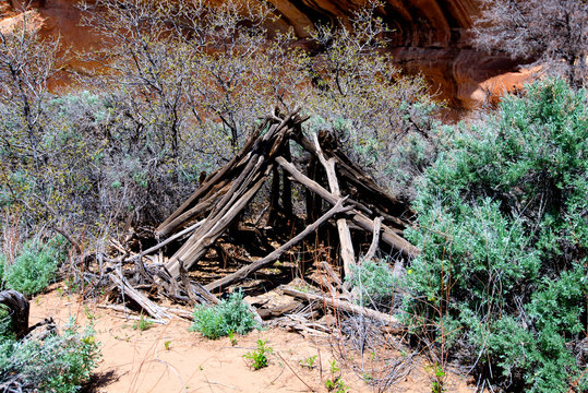 Double Stack Anasazi ruin in Butler Wash, Cedar Mesa, Utah. The ruins are for the most part a well-kept secret to avoid vandalism. A 200 year-old Navajo wikiup in the Double-Stack canyon.