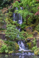Fototapeta na wymiar USA, OR, Portland, Portland Japanese Garden Waterfall