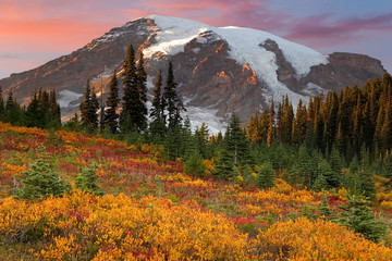 USA  Washington  Mount Rainier National Park. Sunset highlights on mountain and fall-colored meadow in the Paradise area.  © Jaynes Gallery/Danita Delimont