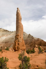 USA - Utah. Geologic formations at Kodachrome Basin State Park.