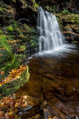 Naklejka na ściany i meble USA, Pennsylvania, Ricketts Glen State Park. Cayuga Falls with mossy ledge and autumn leaves