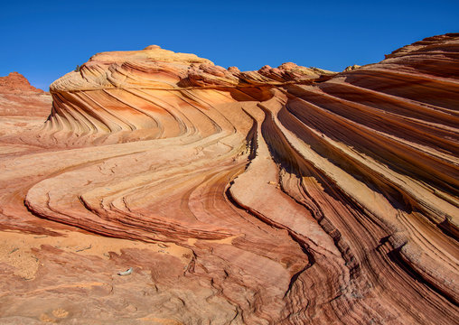 Second Wave, Zion National Park, Utah, USA