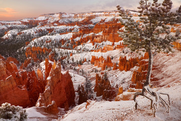 USA, Utah, Bryce Canyon National Park. View of Bryce Canyon in winter. 