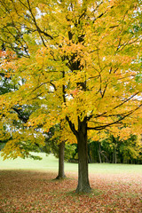 Naklejka premium Pittsburg, PA. USA. Fall on the farm.