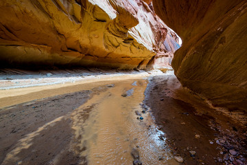Paria River slot canon Paria Canyon-Vermilion Cliffs Wilderness, Utah