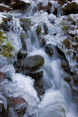 USA, Washington, Olympic National Park. Icy winter waterfall in Dosewallips River Valley. 