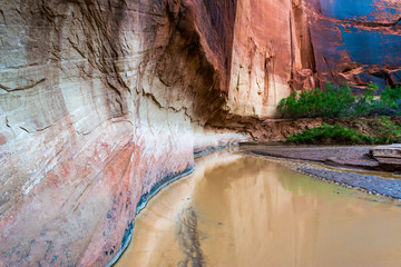 Paria Canyon, Vermillion Cliffs Wilderness, Southern Utah