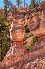 Tower Bridge rock formation, Bryce Canyon National Park, Utah, USA.