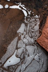 Usa, Utah. Abstract design of frozen bubble patterns in stream, Hunter Canyon, near Moab