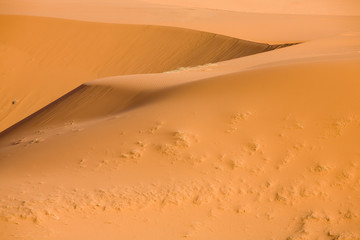 Fototapeta na wymiar UT, Coral Pink Sand Dunes State Park, dunes created from eroding Navajo sandsone